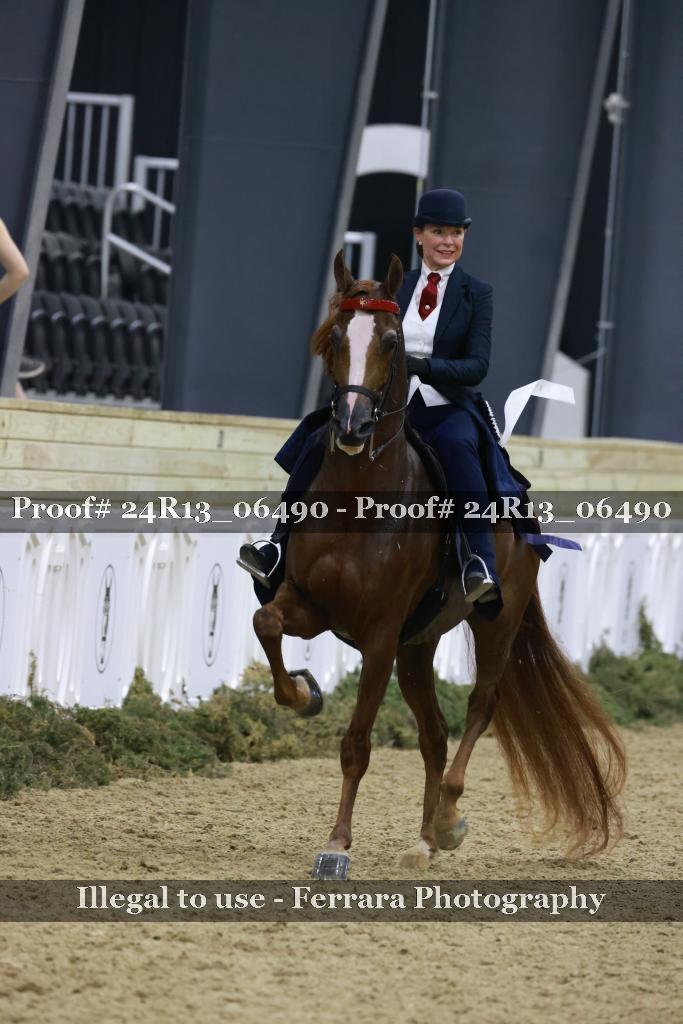 Proof 24R13_06490