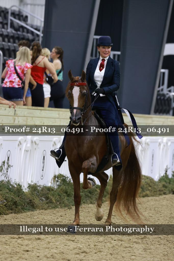 Proof 24R13_06491
