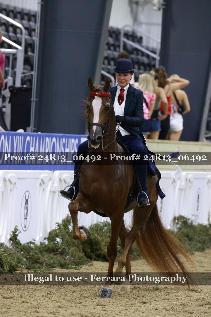 Proof 24R13_06492