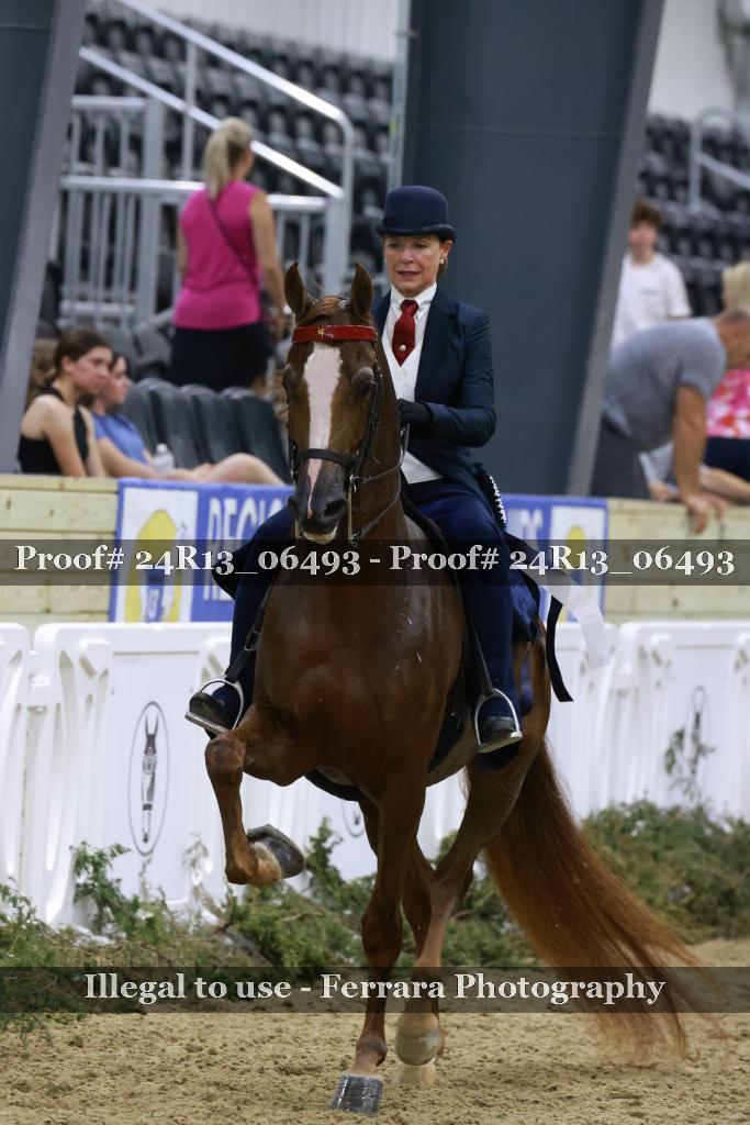 Proof 24R13_06493