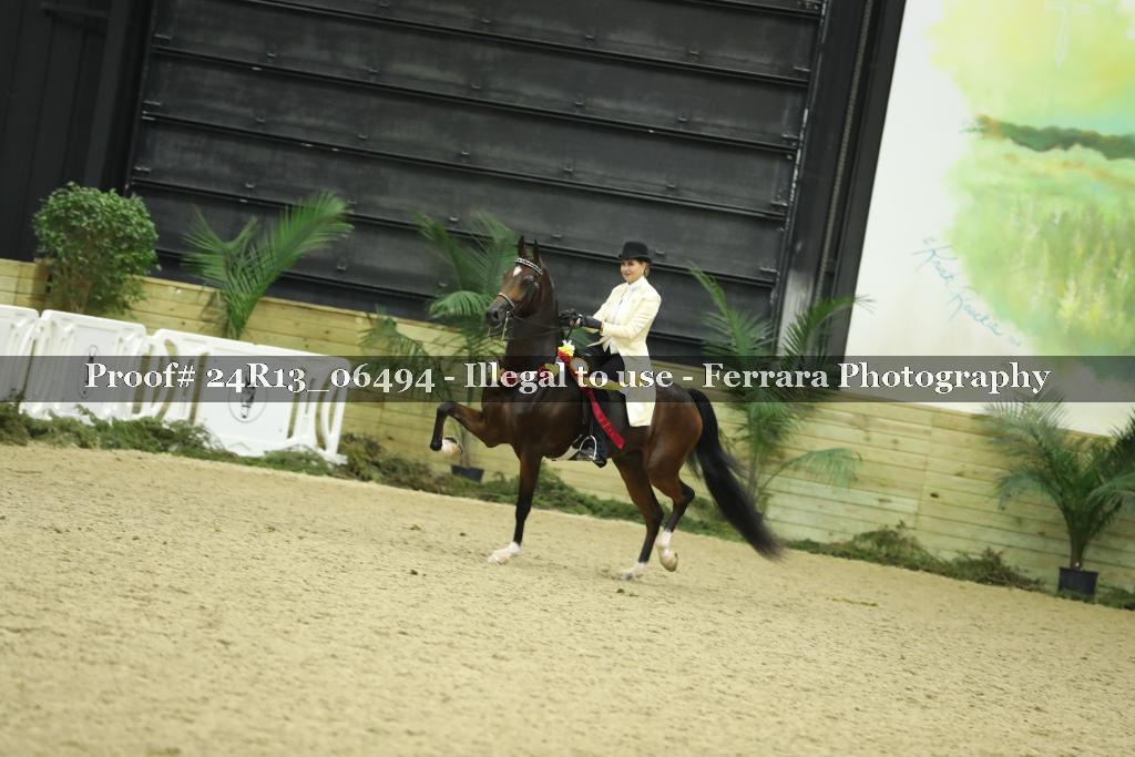 Proof 24R13_06494