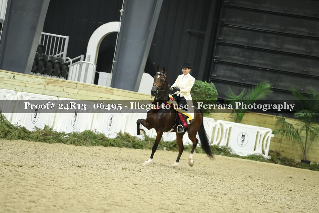 Proof 24R13_06495