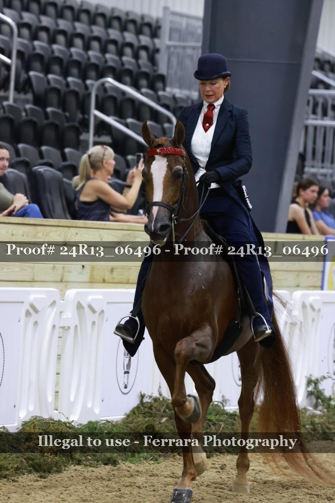 Proof 24R13_06496