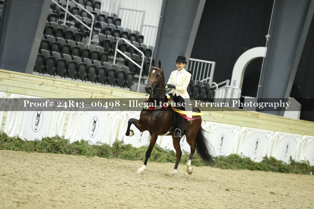 Proof 24R13_06498