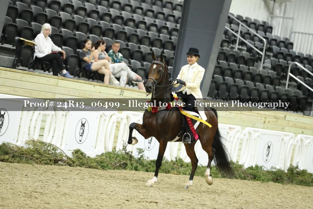 Proof 24R13_06499
