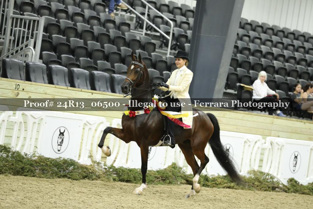 Proof 24R13_06500