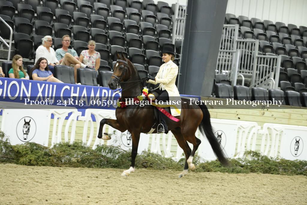 Proof 24R13_06501