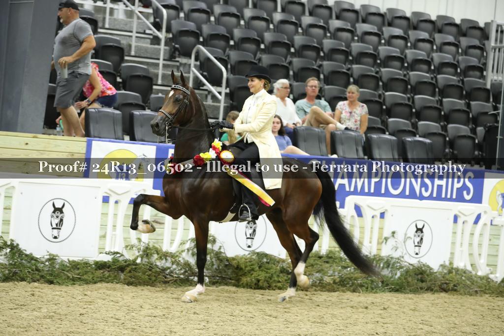 Proof 24R13_06502