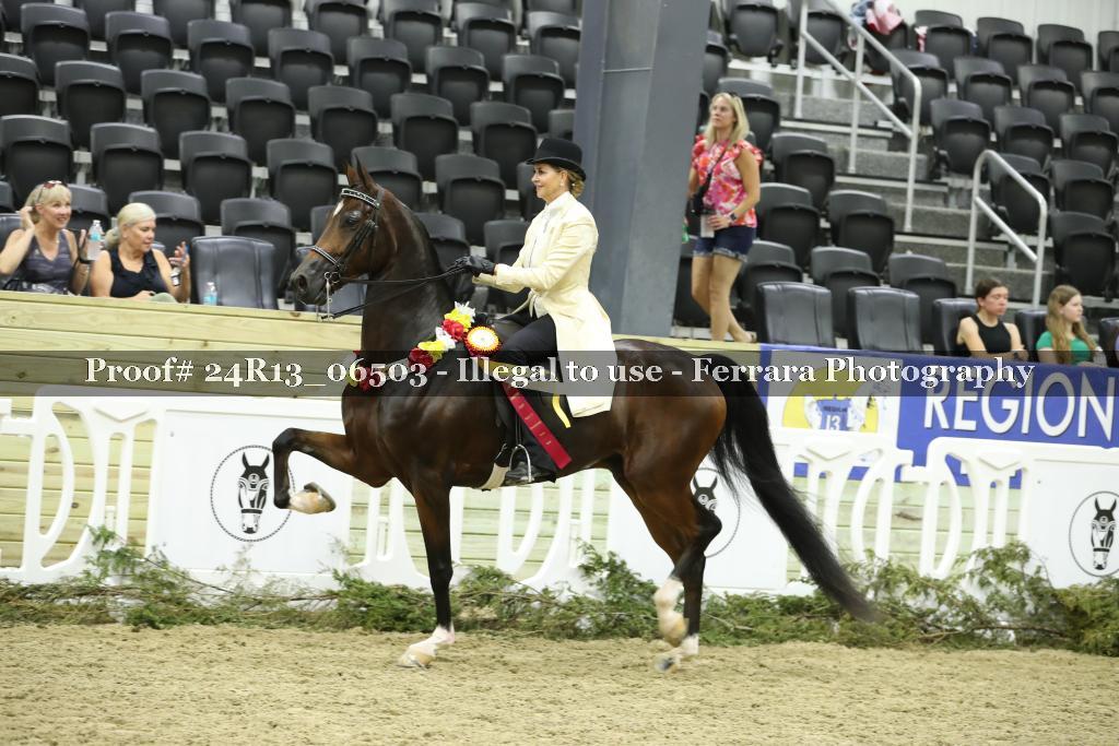 Proof 24R13_06503