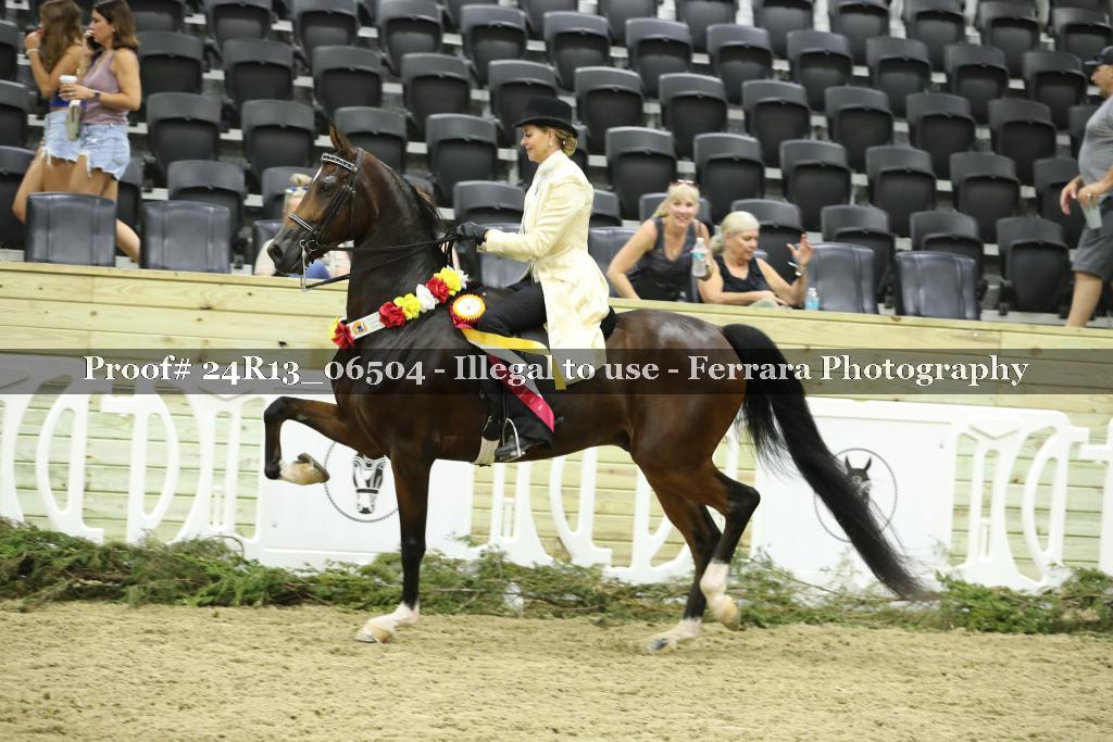 Proof 24R13_06504