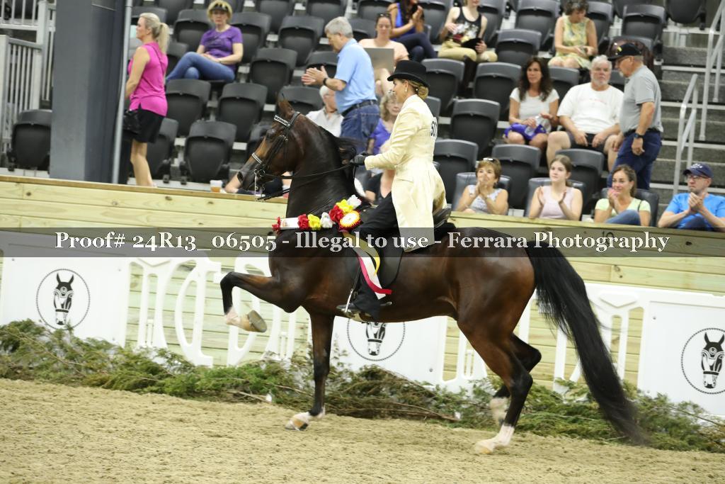 Proof 24R13_06505