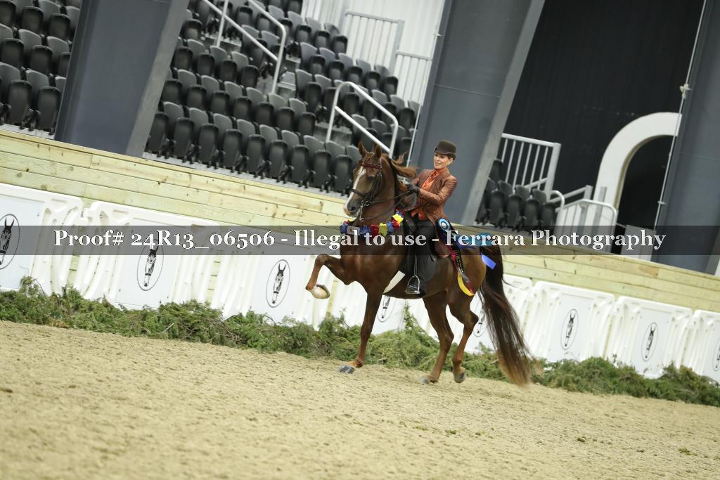 Proof 24R13_06506