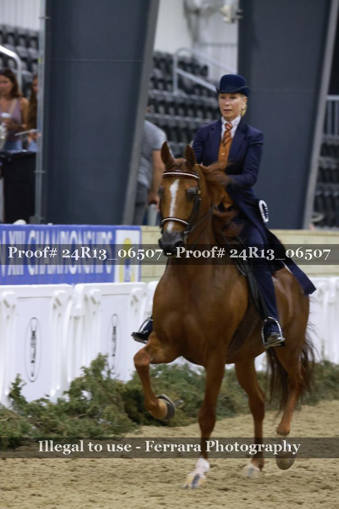 Proof 24R13_06507