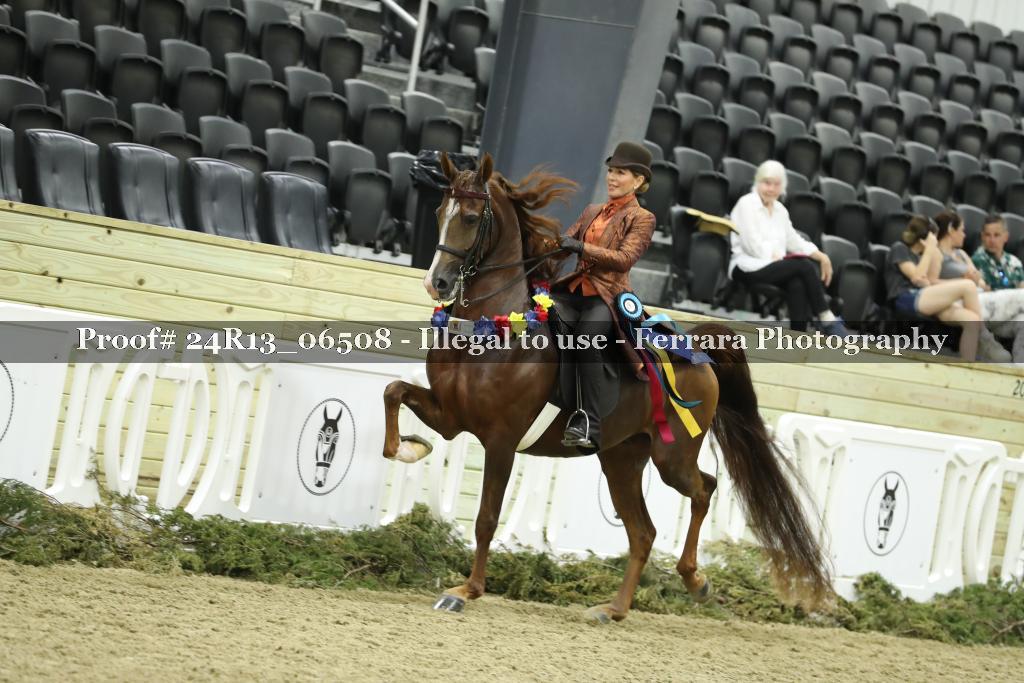 Proof 24R13_06508