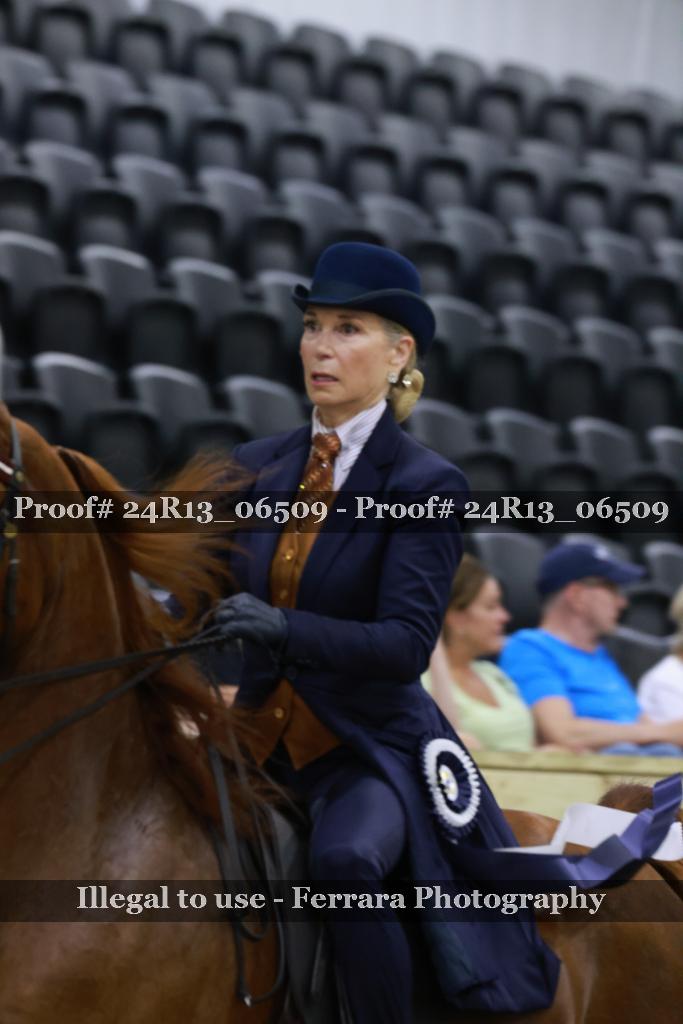 Proof 24R13_06509