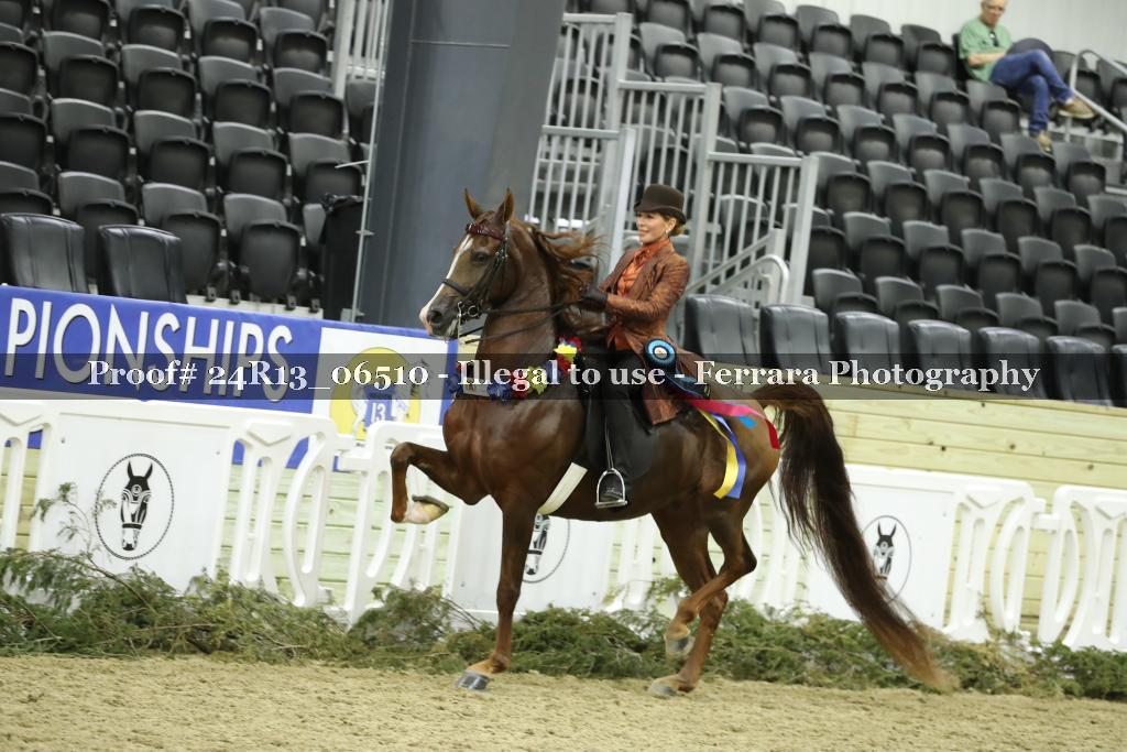 Proof 24R13_06510