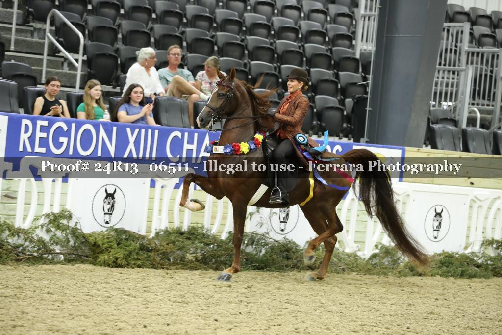 Proof 24R13_06511