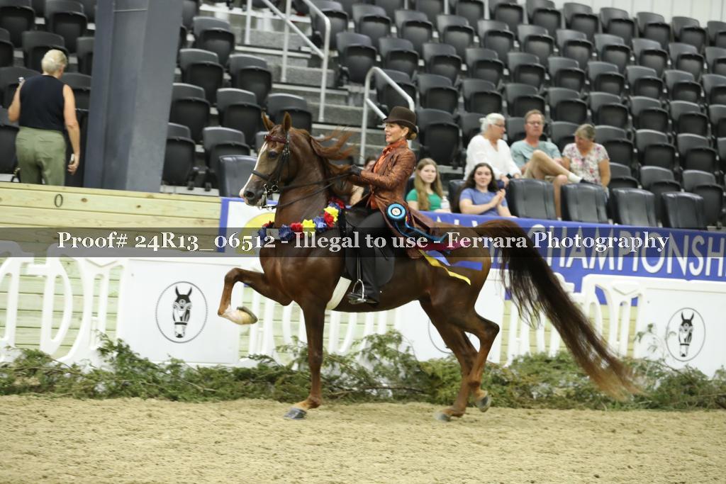 Proof 24R13_06512
