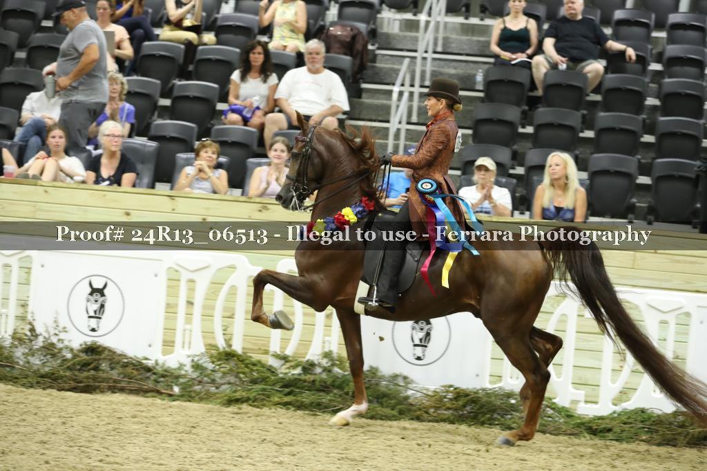 Proof 24R13_06513
