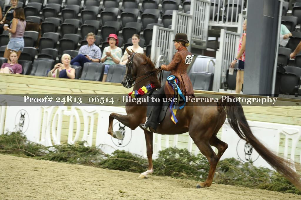 Proof 24R13_06514