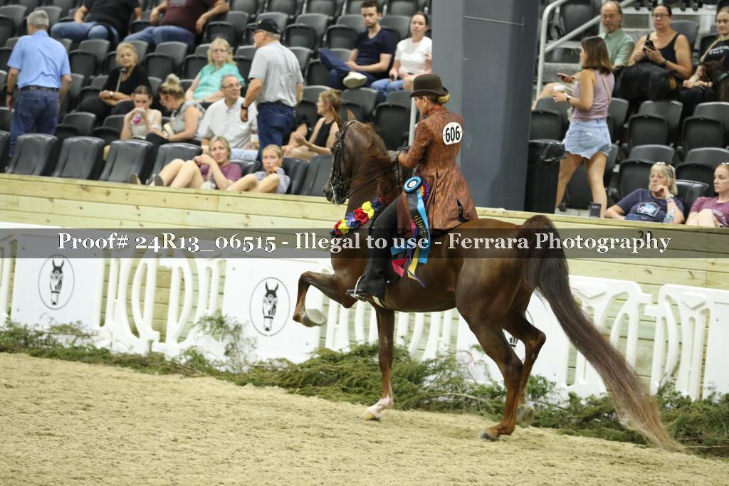 Proof 24R13_06515