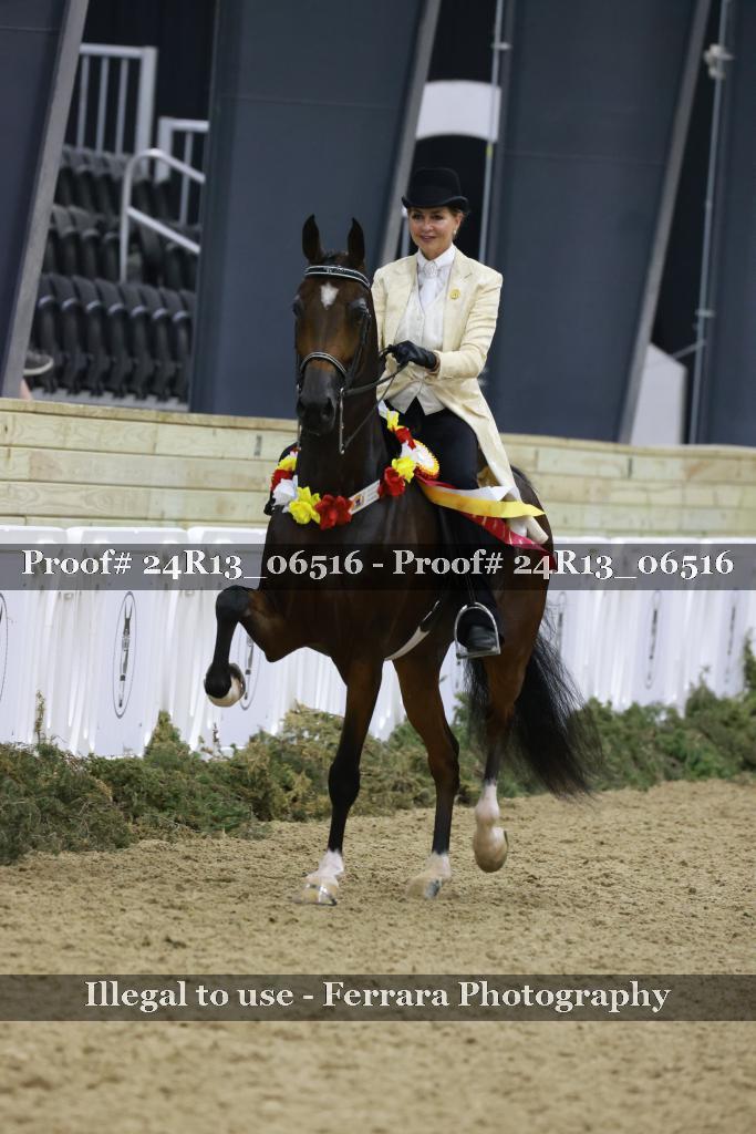 Proof 24R13_06516