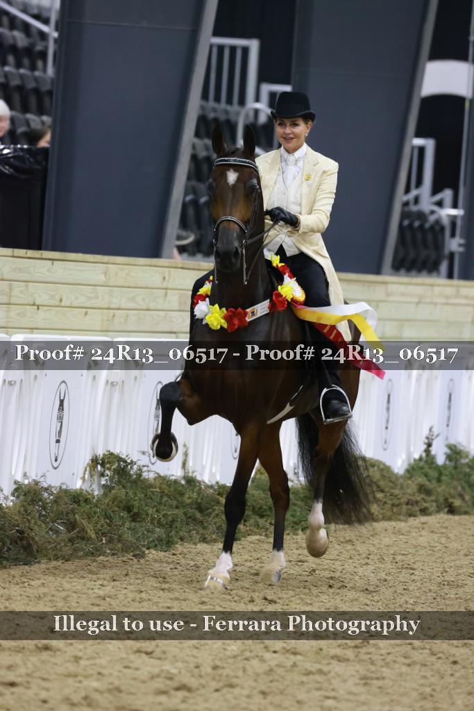 Proof 24R13_06517