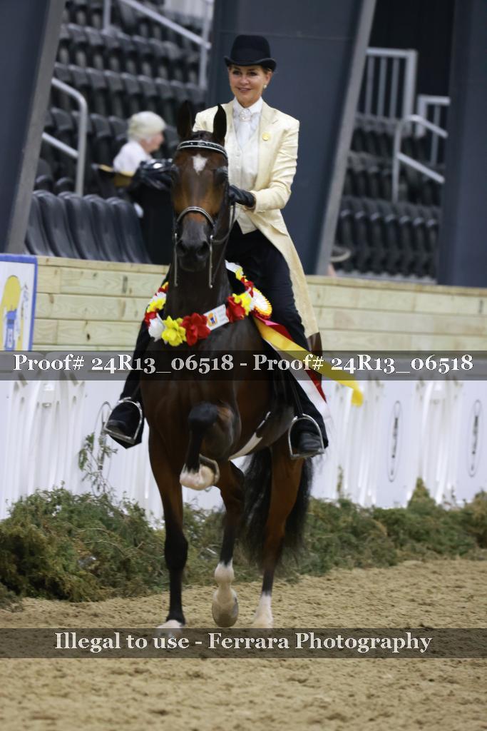 Proof 24R13_06518