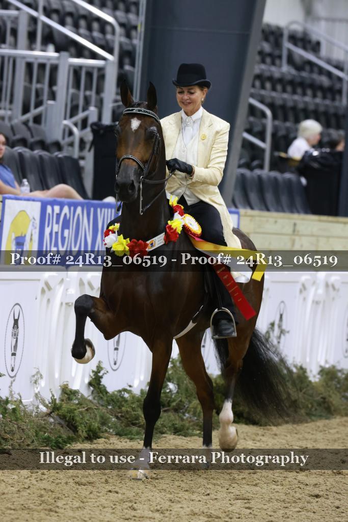 Proof 24R13_06519
