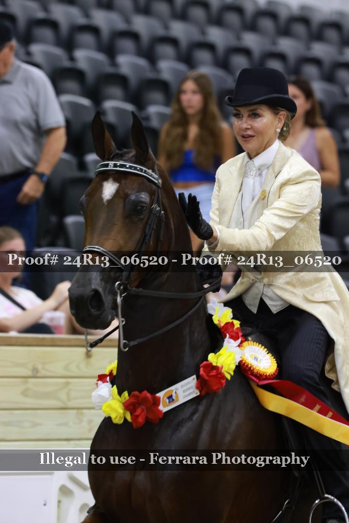 Proof 24R13_06520