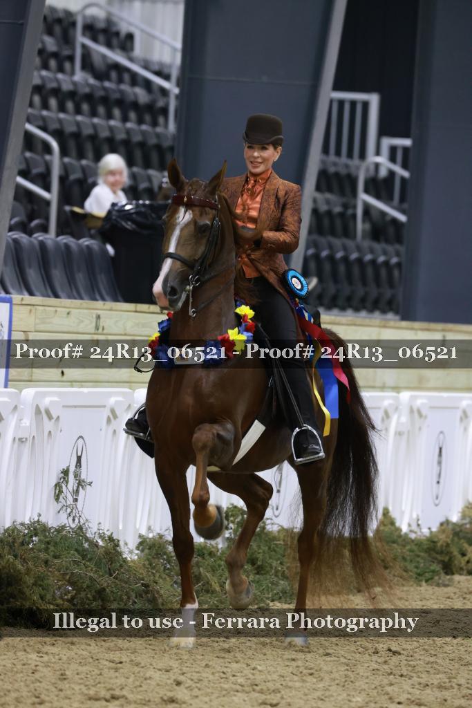 Proof 24R13_06521
