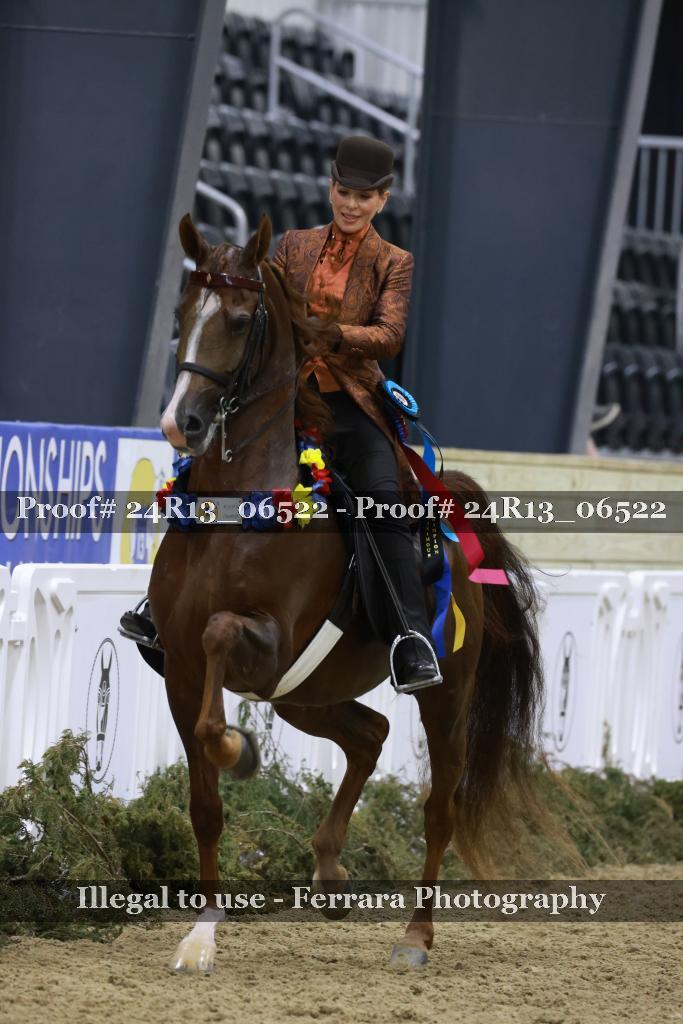 Proof 24R13_06522
