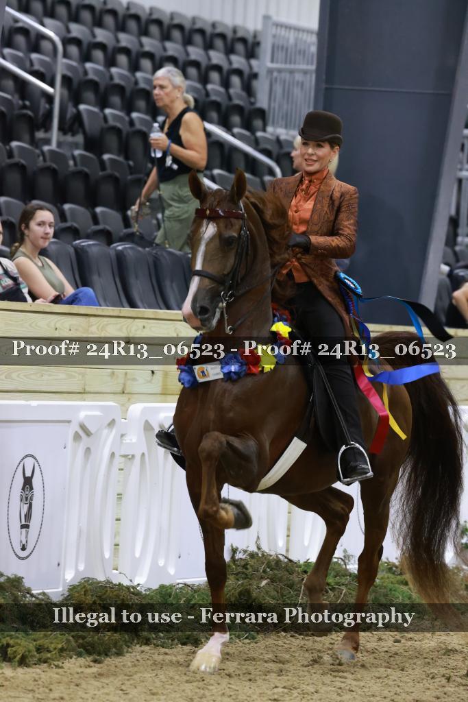 Proof 24R13_06523