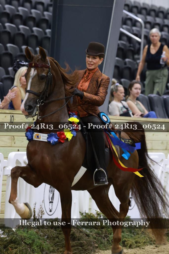 Proof 24R13_06524