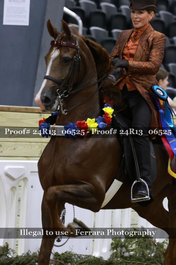 Proof 24R13_06525