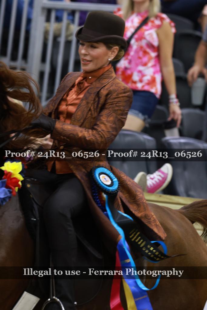 Proof 24R13_06526