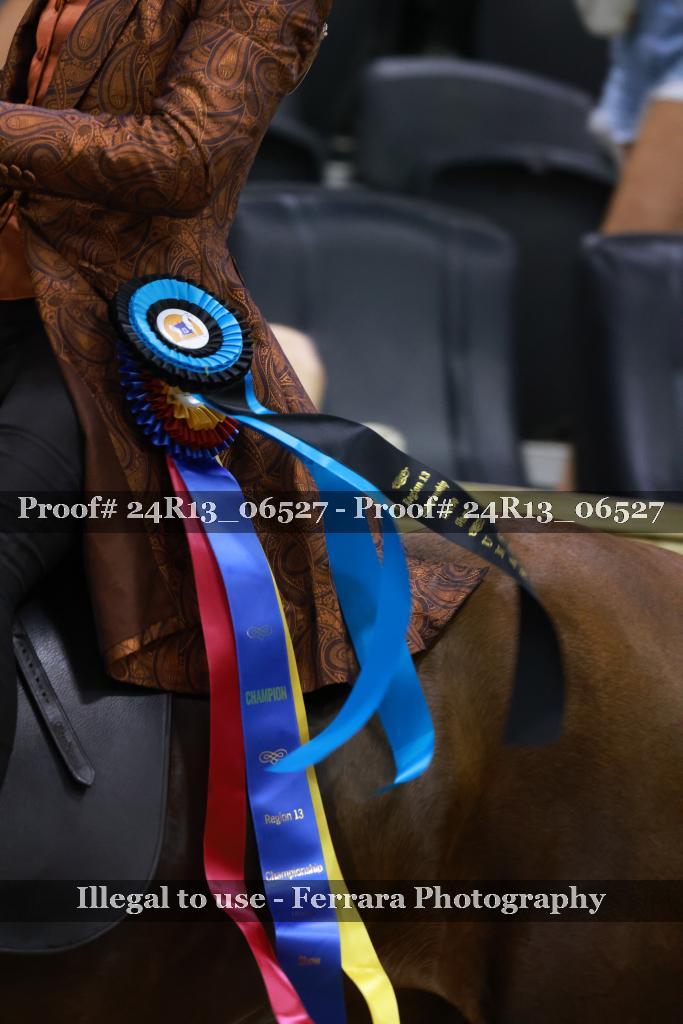Proof 24R13_06527