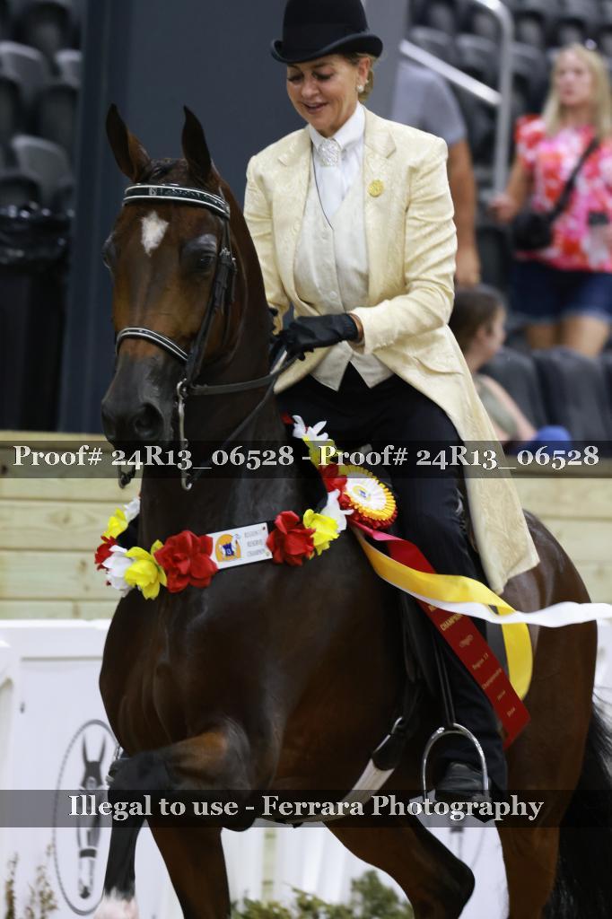 Proof 24R13_06528
