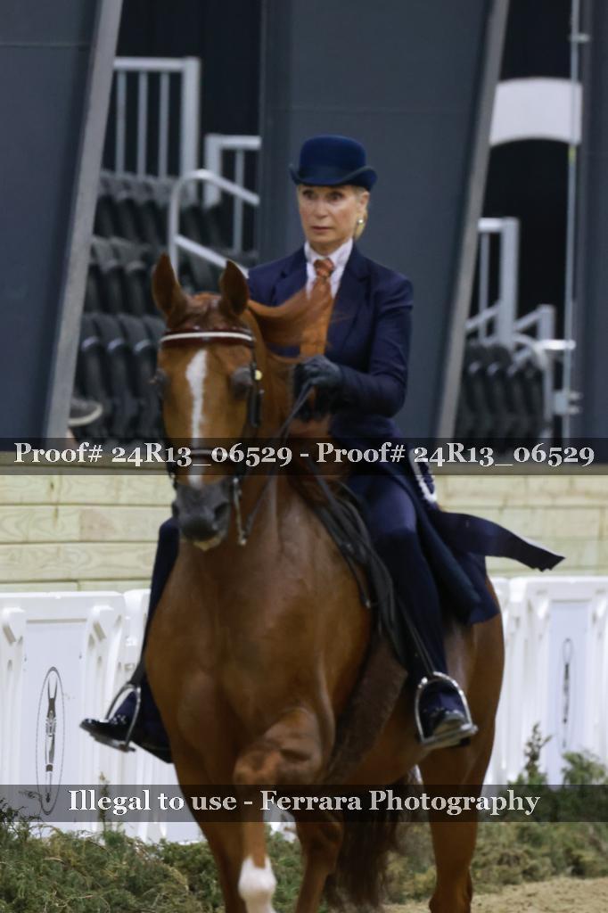 Proof 24R13_06529