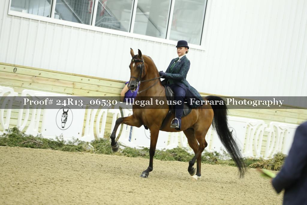 Proof 24R13_06530