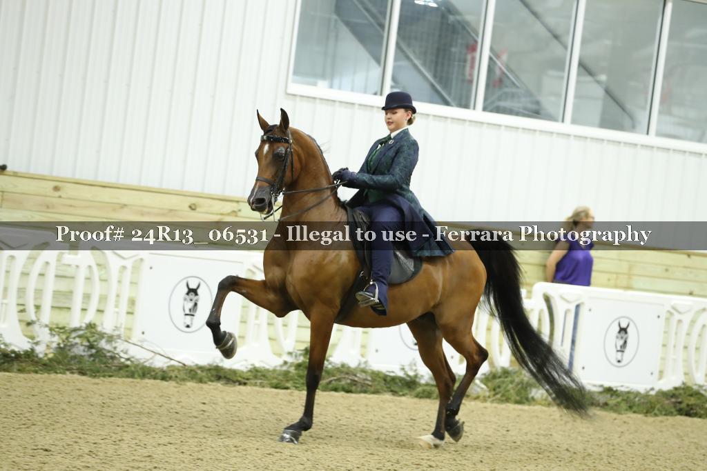 Proof 24R13_06531