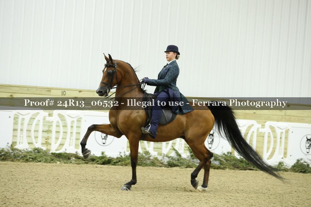 Proof 24R13_06532
