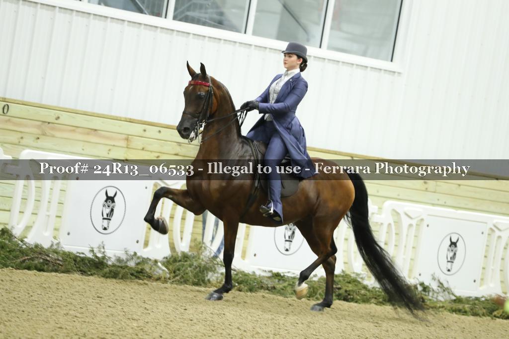 Proof 24R13_06533