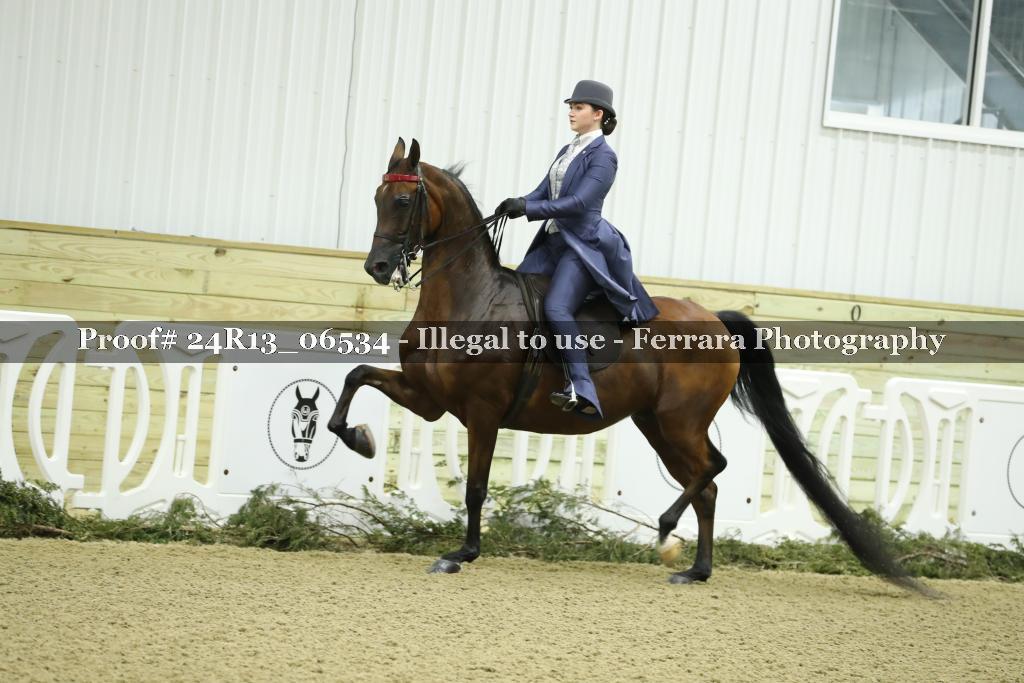 Proof 24R13_06534