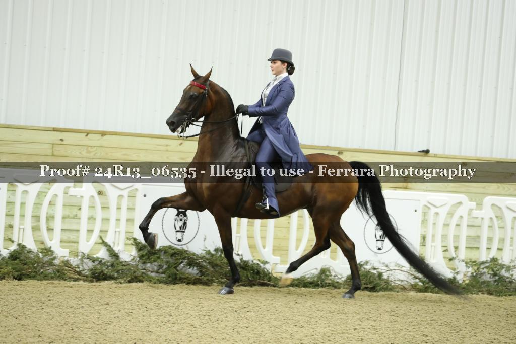 Proof 24R13_06535