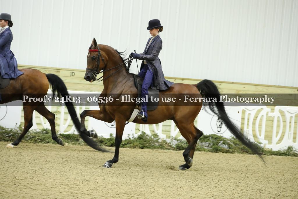 Proof 24R13_06536