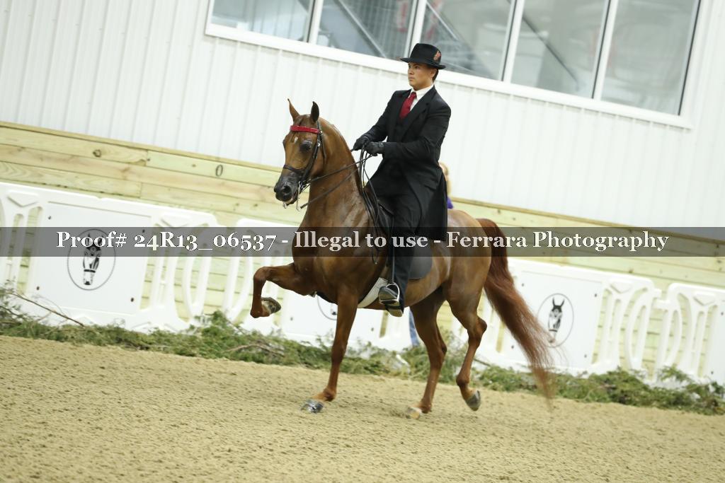 Proof 24R13_06537