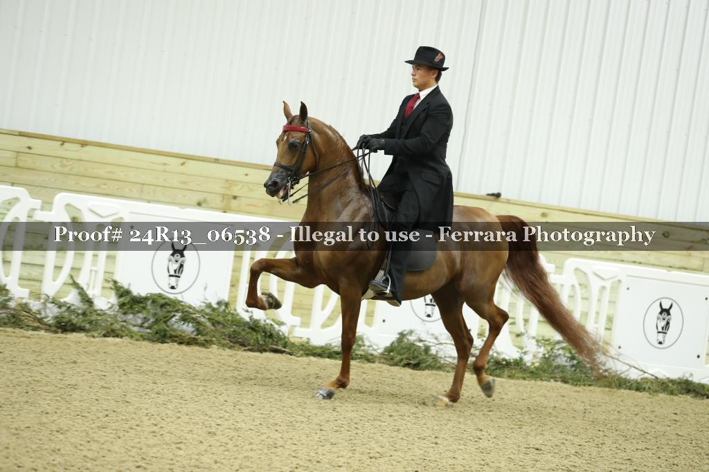 Proof 24R13_06538