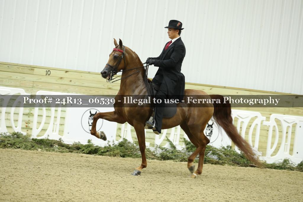 Proof 24R13_06539