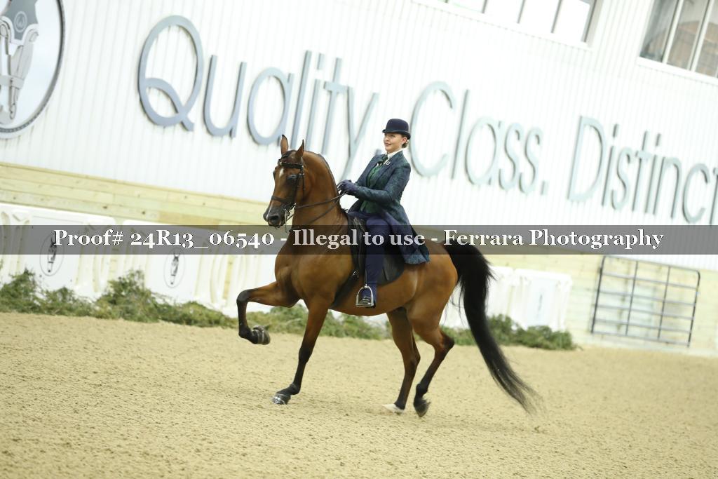 Proof 24R13_06540